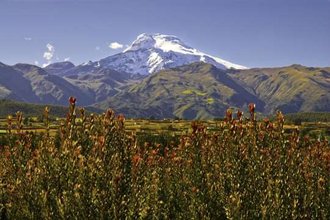 Quito et le haut plateau